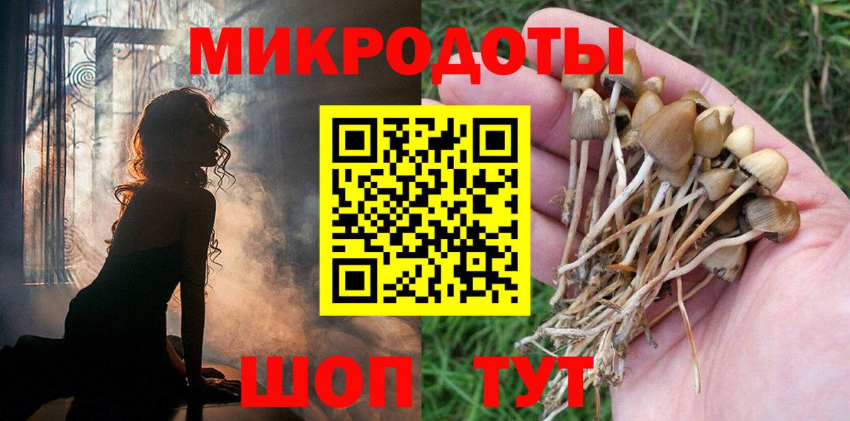 Новороссийск  Галлюциногенные грибы Cubensis  Вход с VPN 